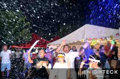Photo n°210